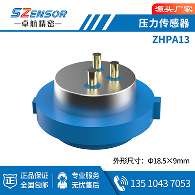 腔體壓力傳感器 ZHPA13